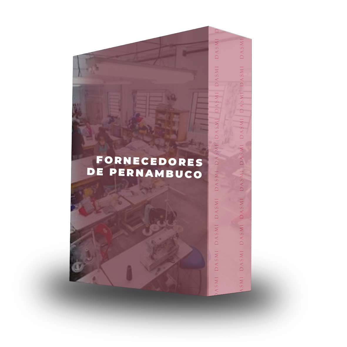 Bônus 4: Fornecedores de Pernambuco