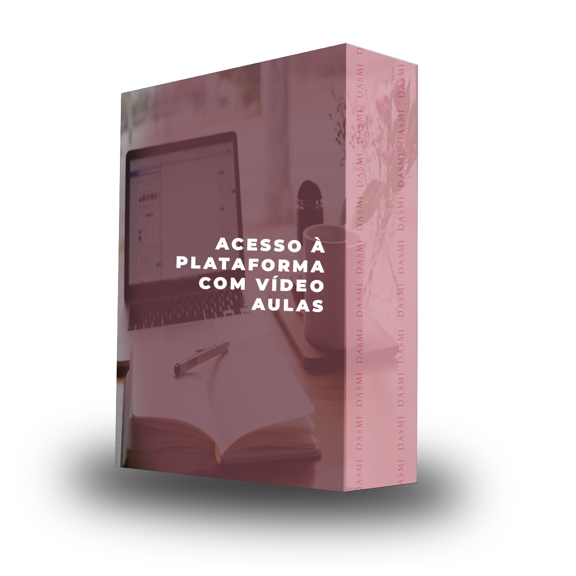 Bônus 7: Acesso à Plataforma com Vídeo Aulas